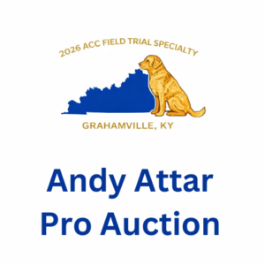 Pro Andy Attar