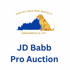 Pro JD Babb